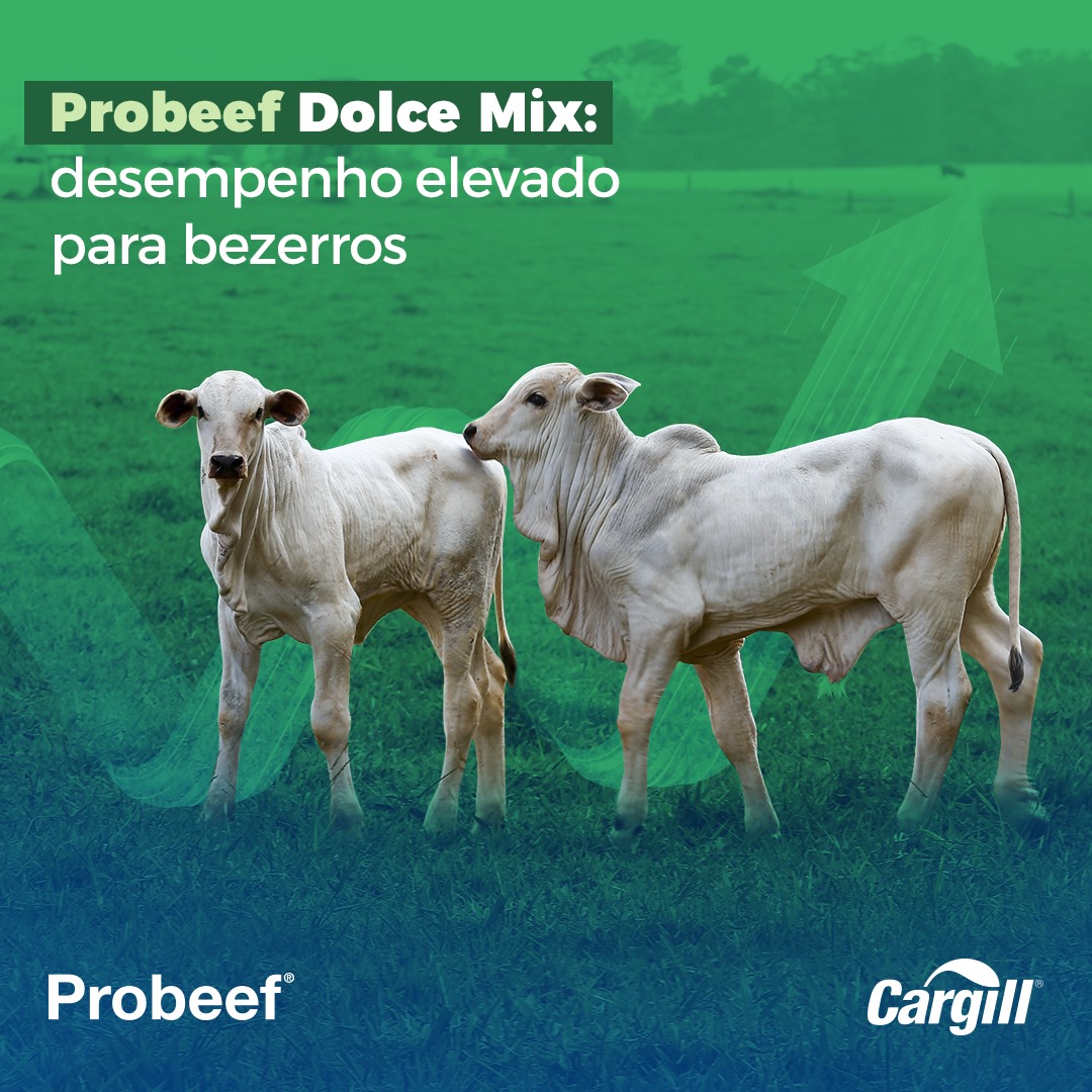 Probeef - Probeef Dolce Mix, solução que estimula o...