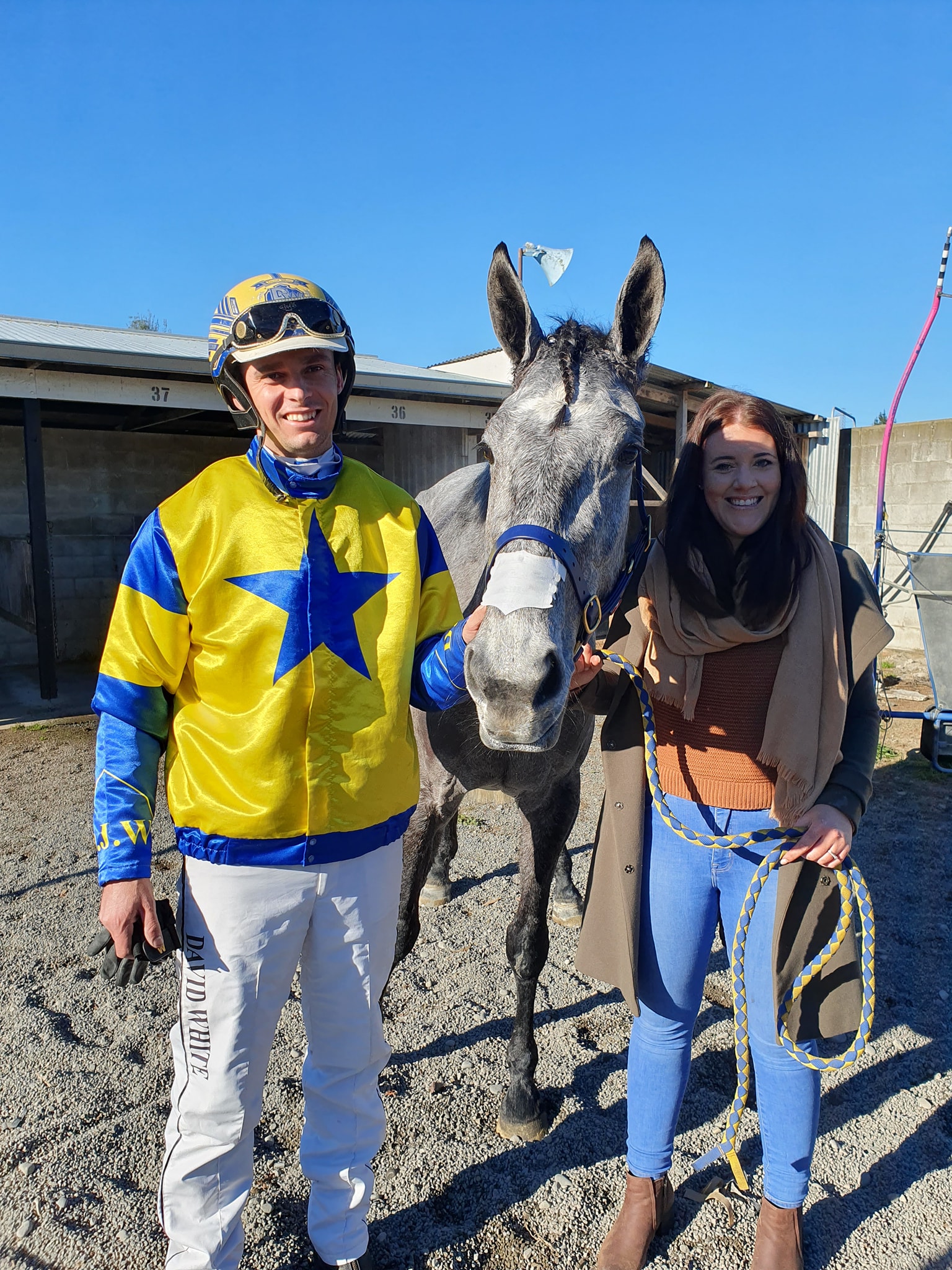 Congratulations to David and... - Harness Racing New Zealand | Facebook