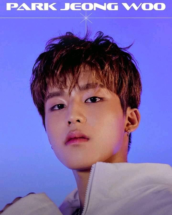 TREASURE PARK JEONG WOO トレカ まとめ売り PARK JEONG WOO [Treasure] Photocard Reboot [4552]