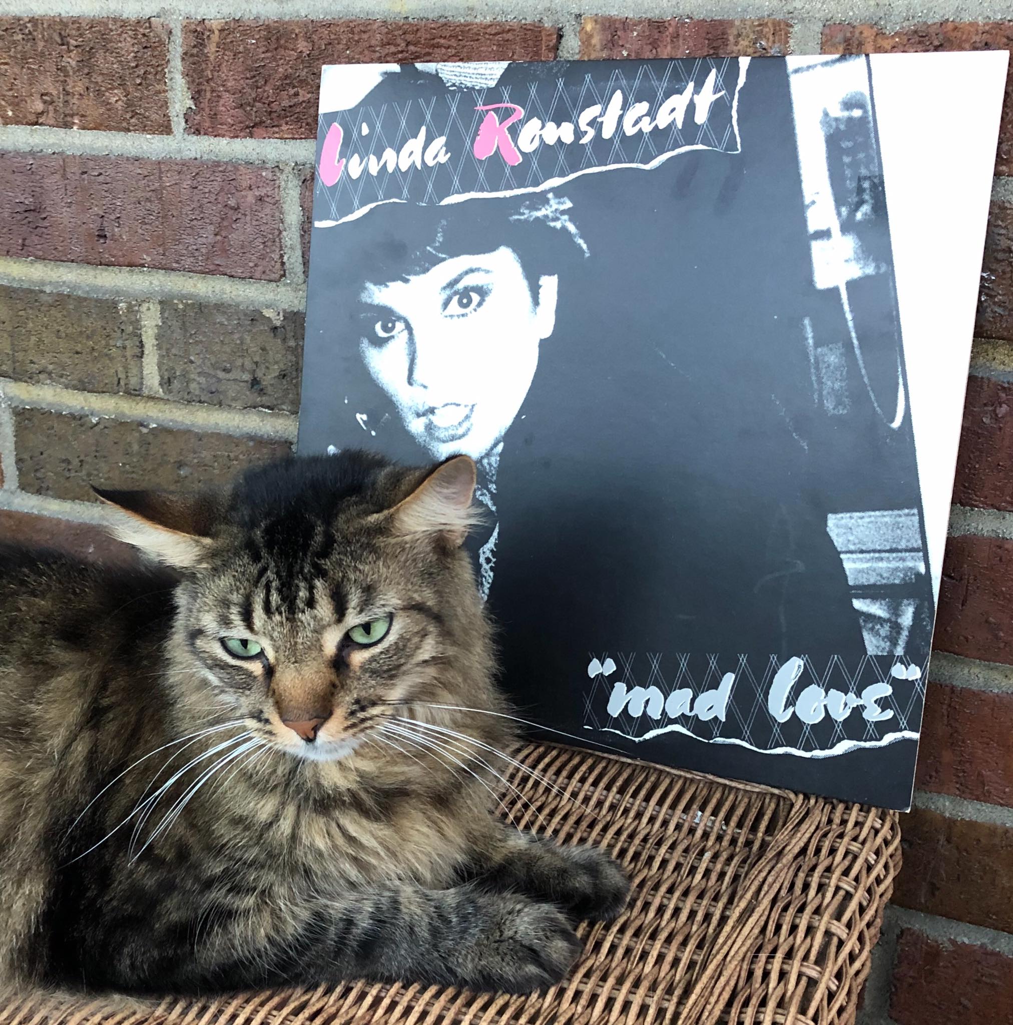 Linda Ronstadt