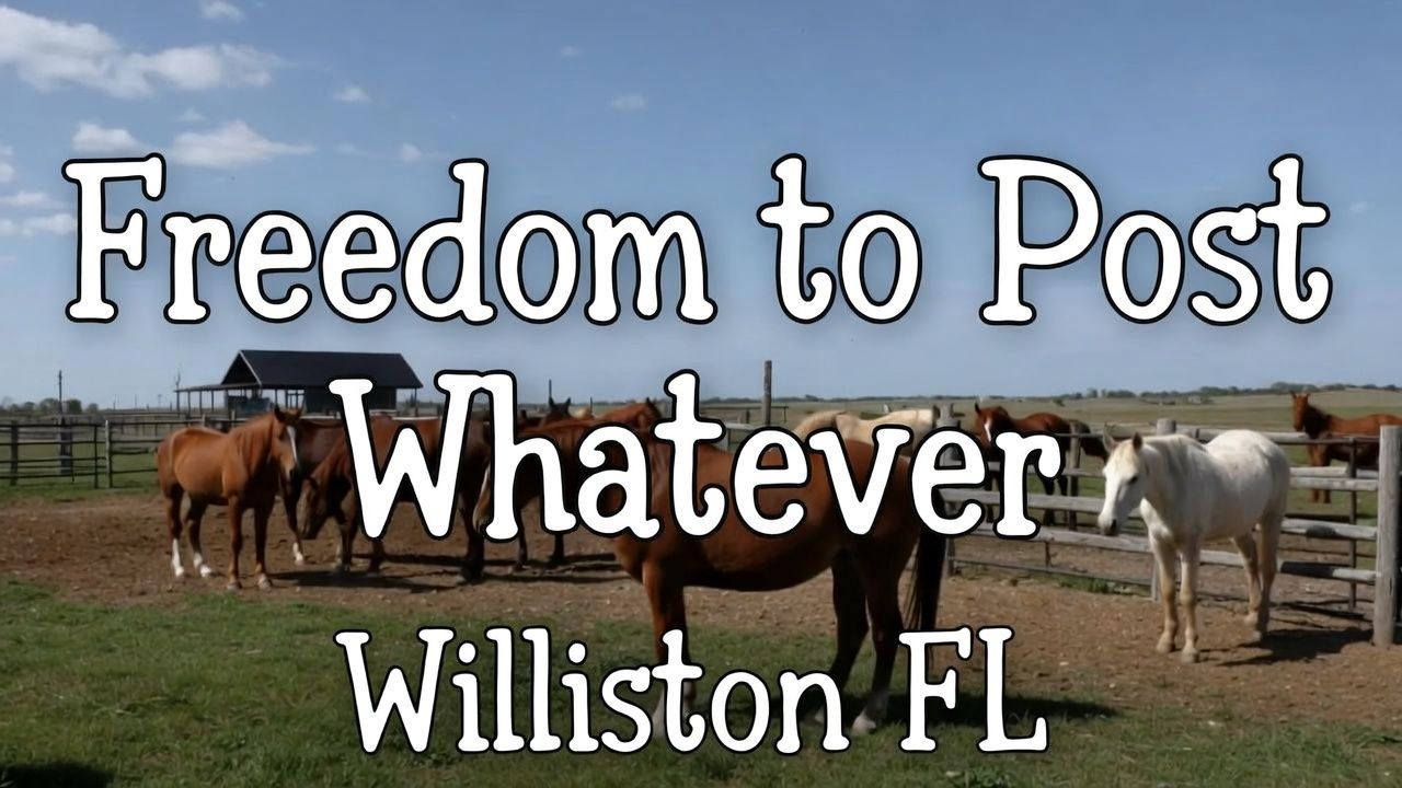 Williston FL - Freedom to Post Whatever | I've got two of these air ...