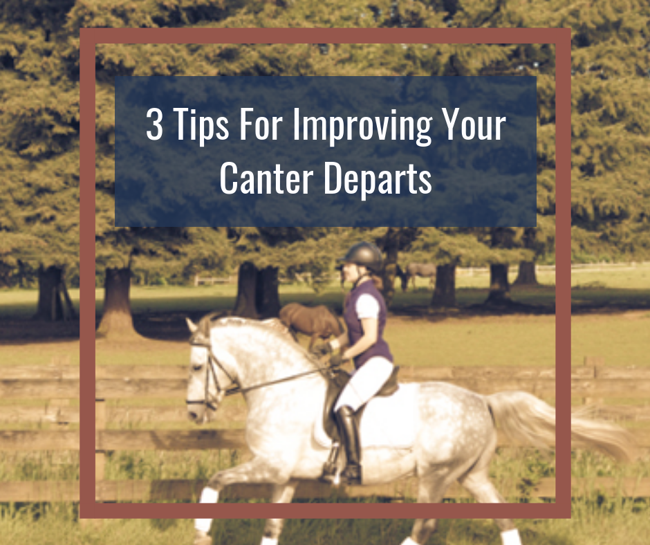 Ritter Dressage - 3 Tips for Improving Your Canter Departs... | Facebook