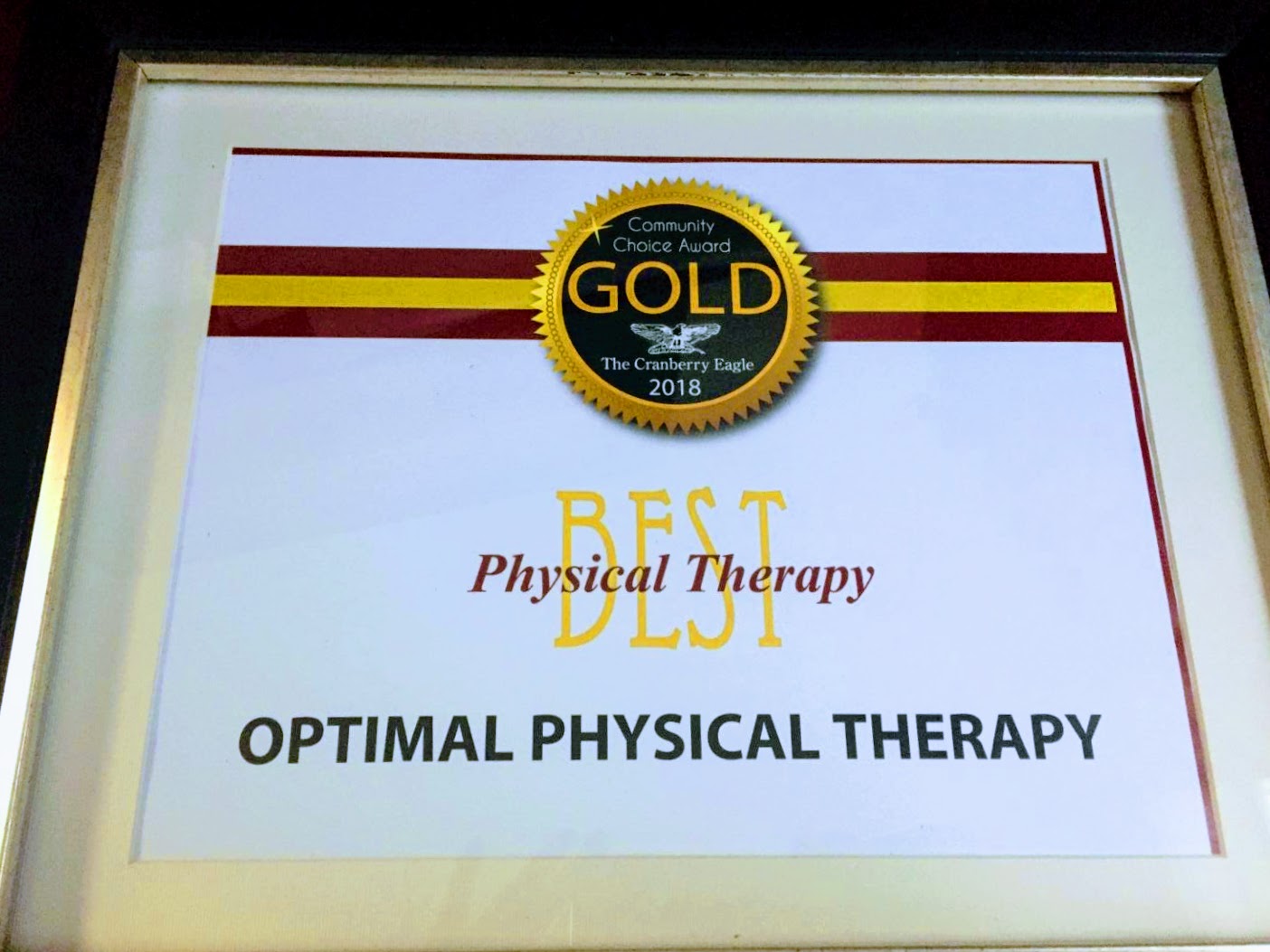 Optimal Physical Therapy and Sports Performance | Cranberry Township ...