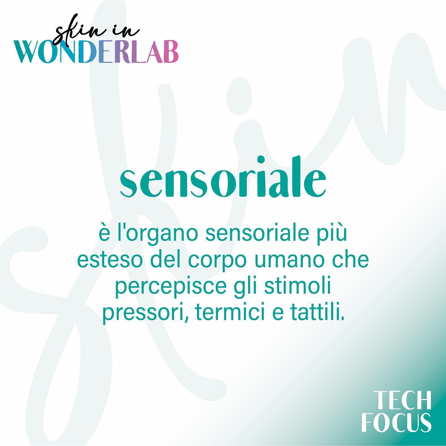 Skin in Wonderlab