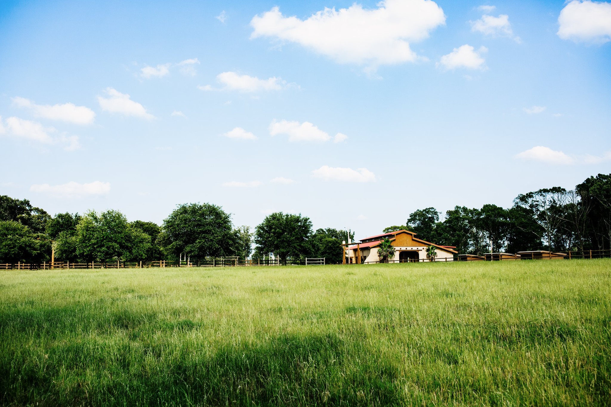 The Barn at Draggin' M... - The Barn at Draggin' M Ranch