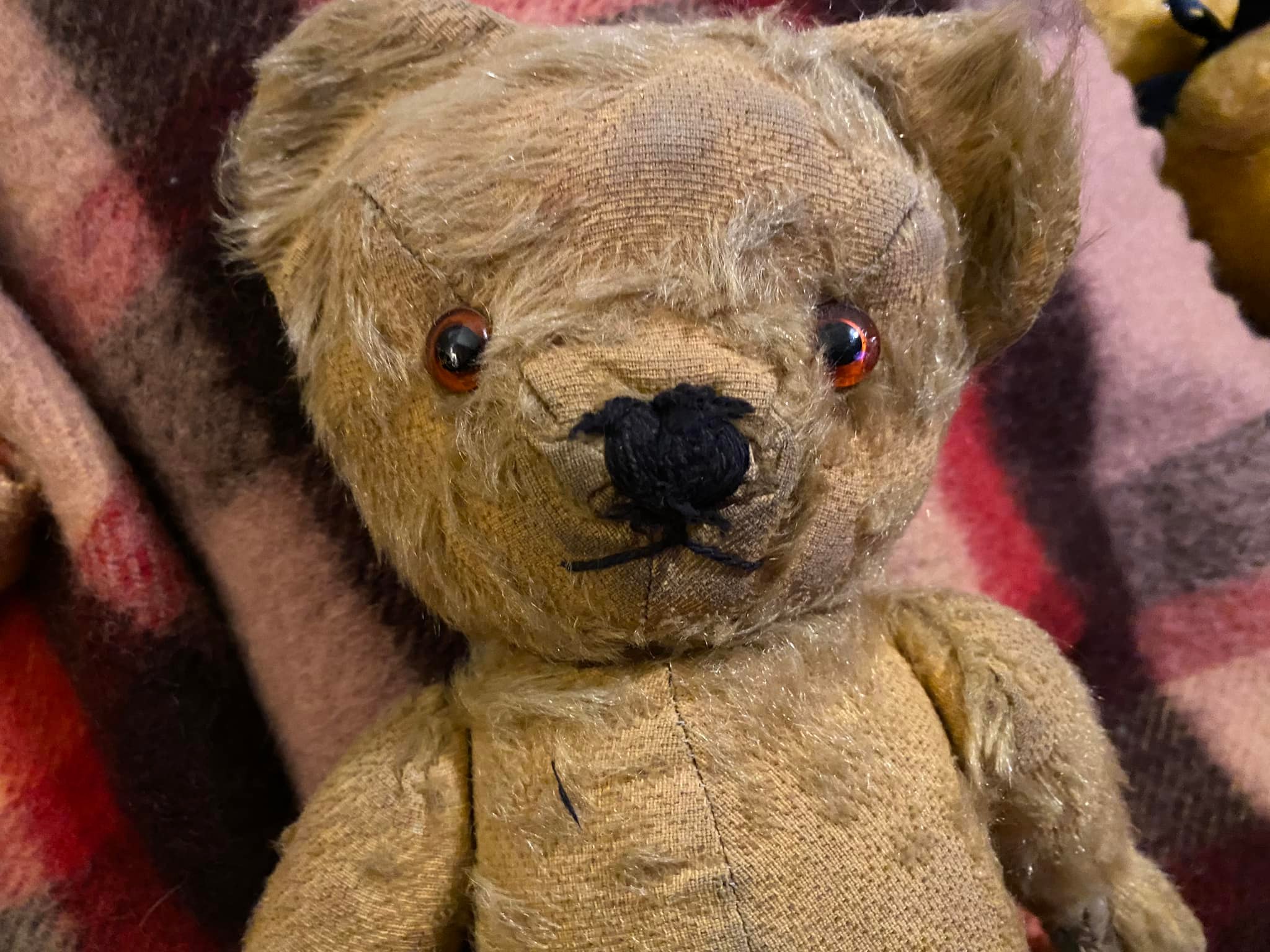 Identifying a Chad Valley teddy bear with no label