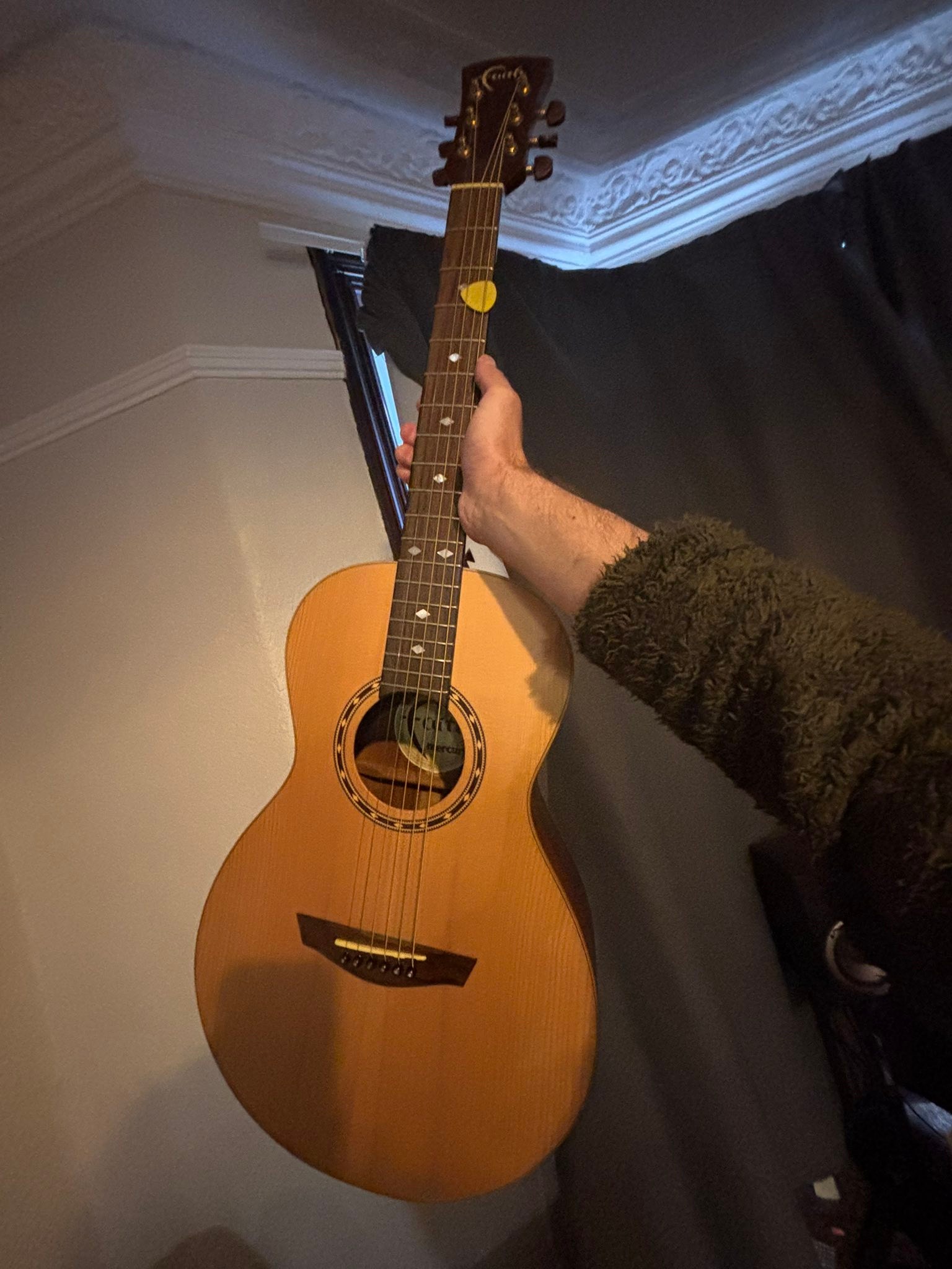 Information on the Freshman Mercury guitar model