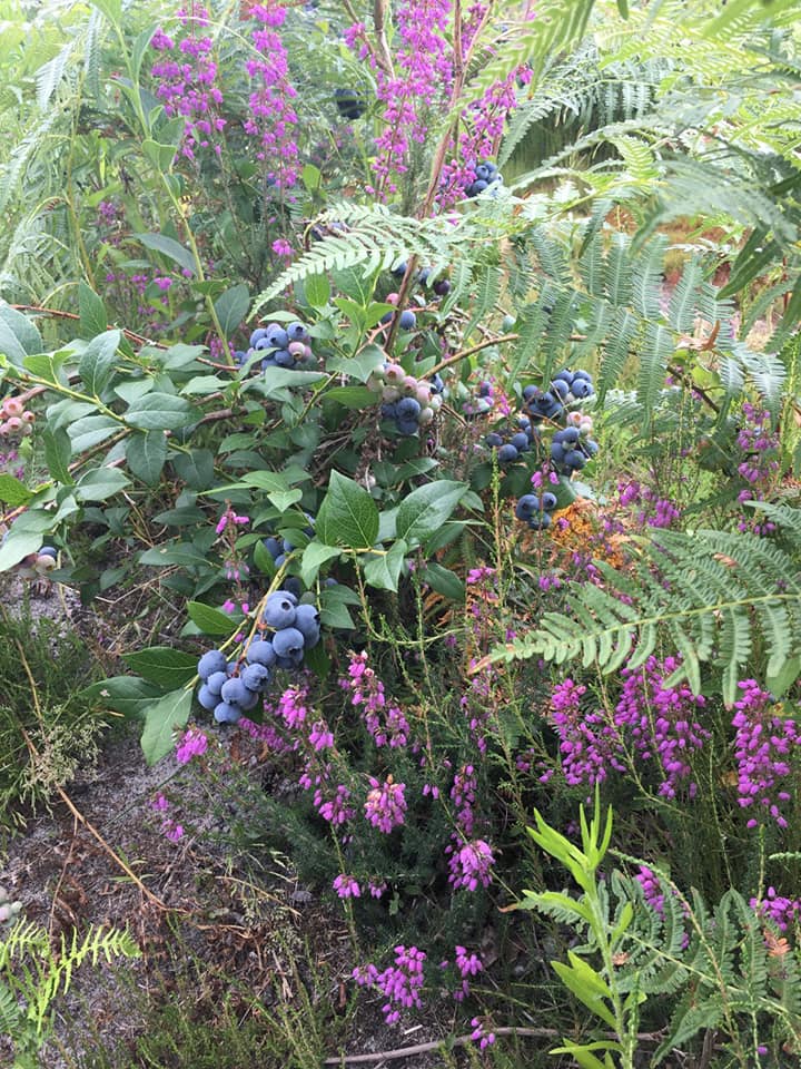 Le Potager de Lanton added a new photo. - Le Potager de Lanton