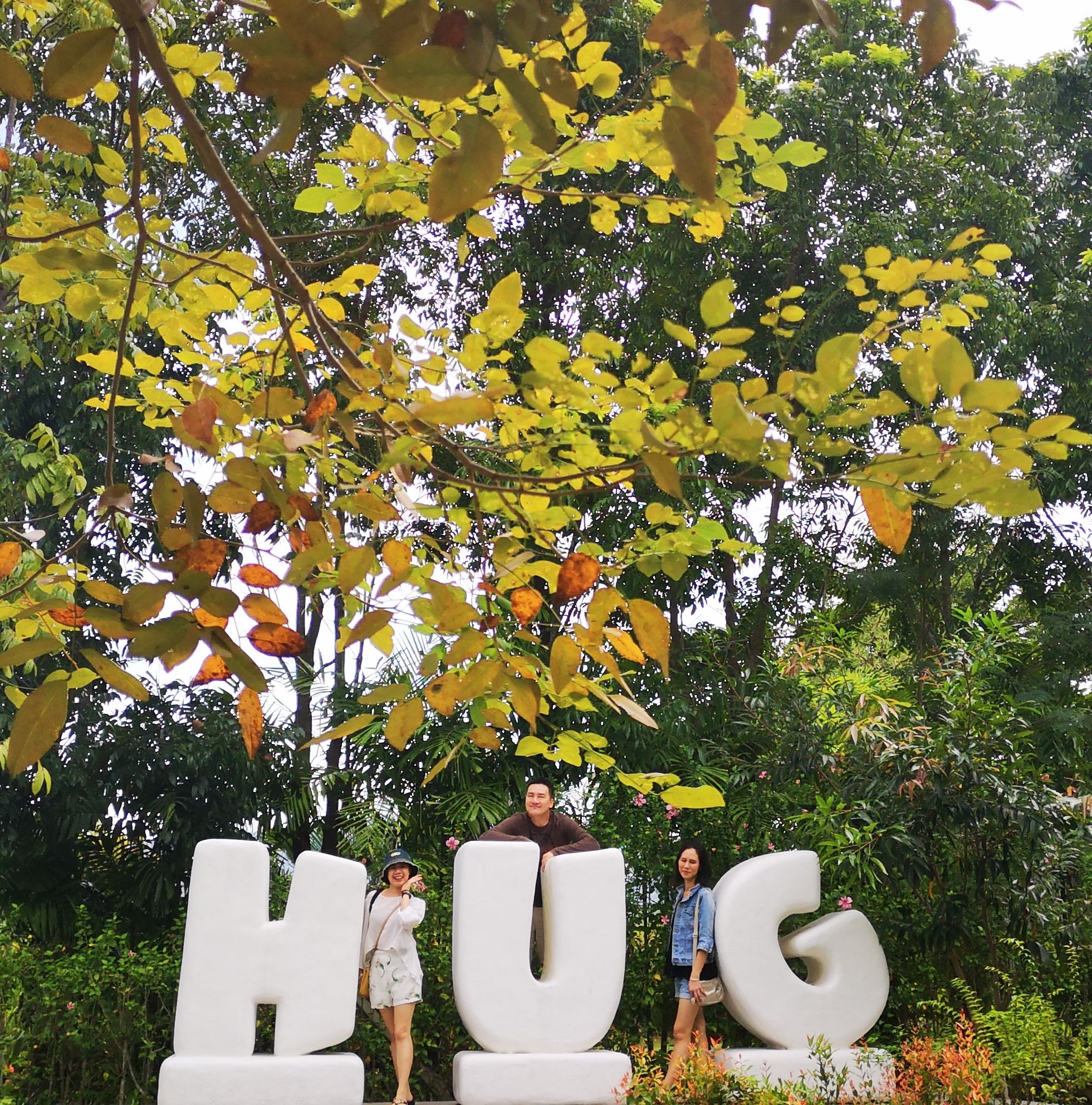 ใบไม้เปลี่ยนสี 🌿 . . . 📳... - Hug station khao yai