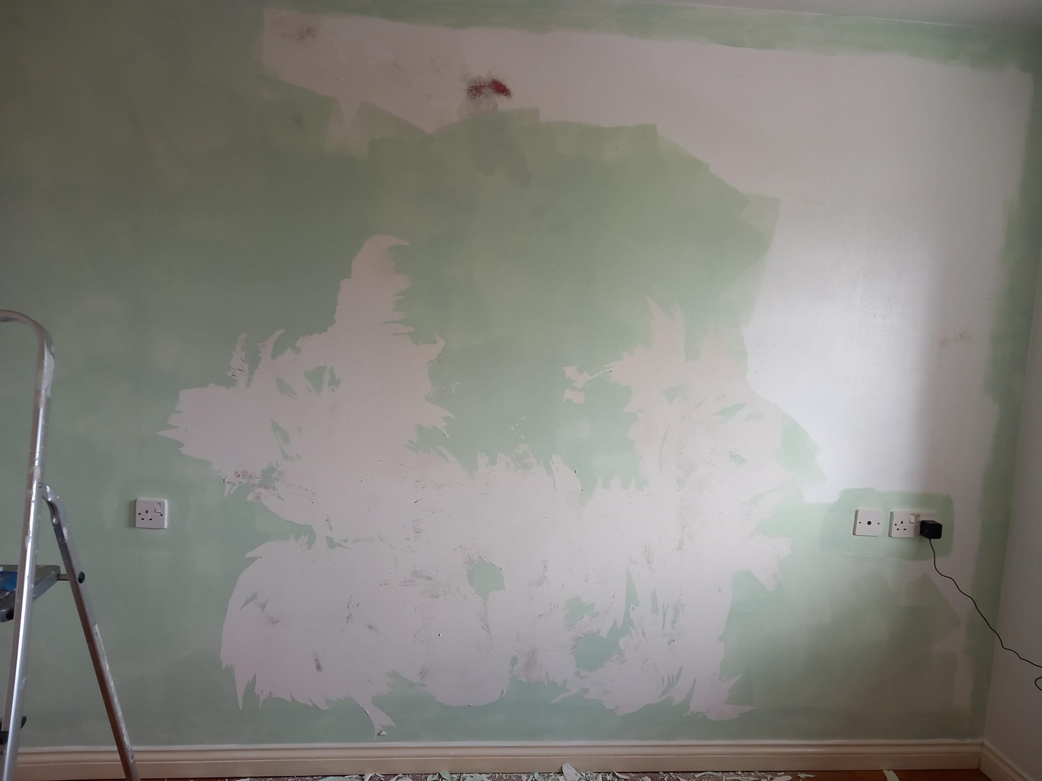 Hi guys. Is this just a badly prepared unprimed wall ? I washed 