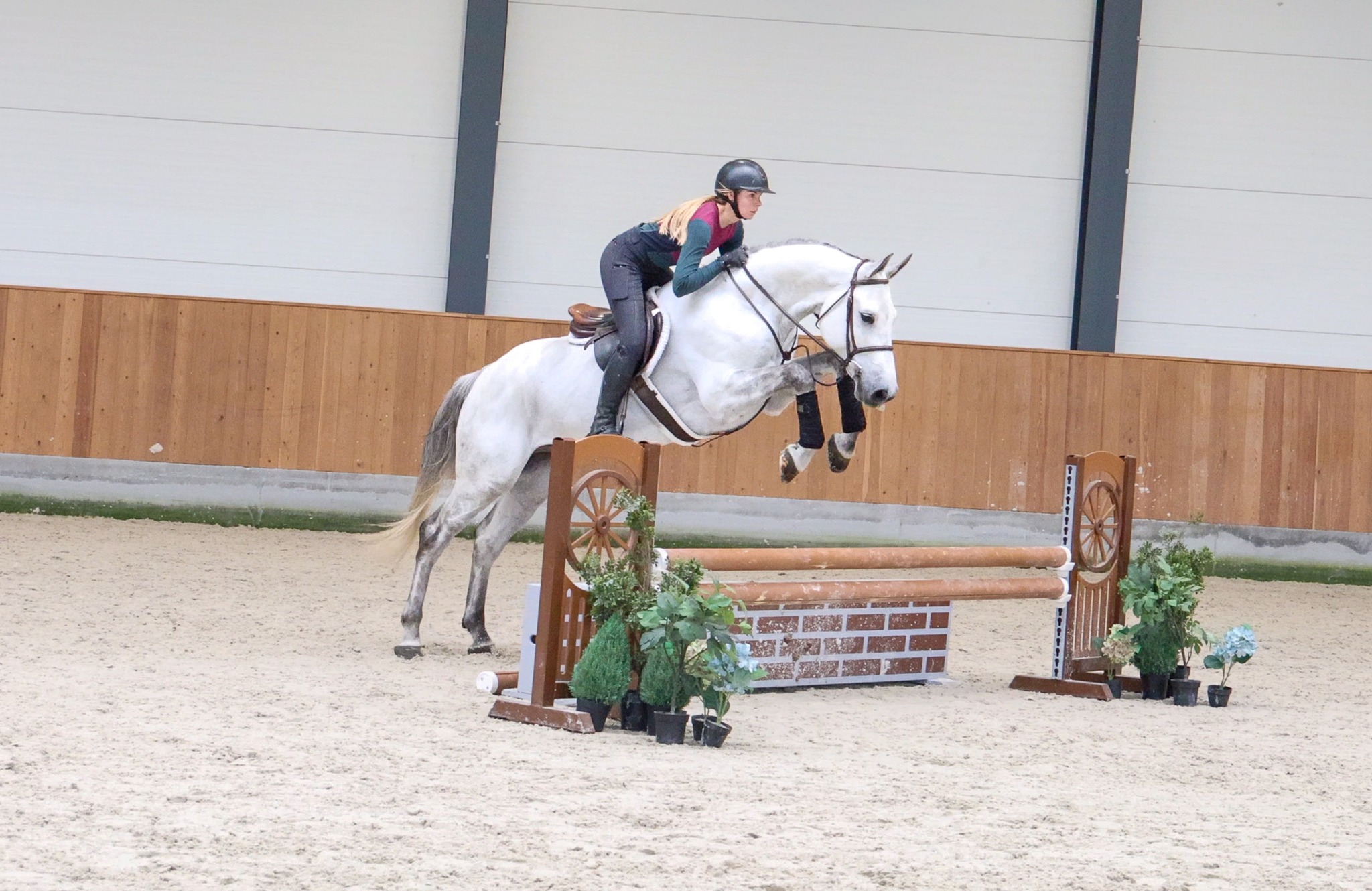 Hunter derby prospect for sale