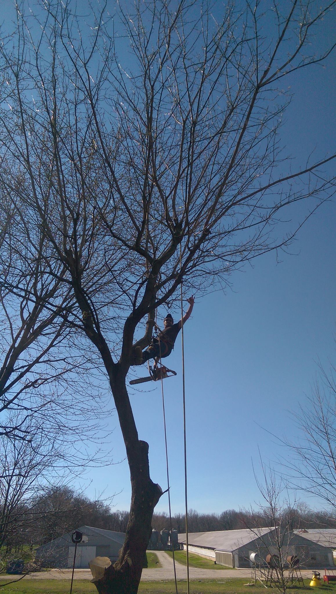 Patterson & Son's Tree Service | Carlisle IN