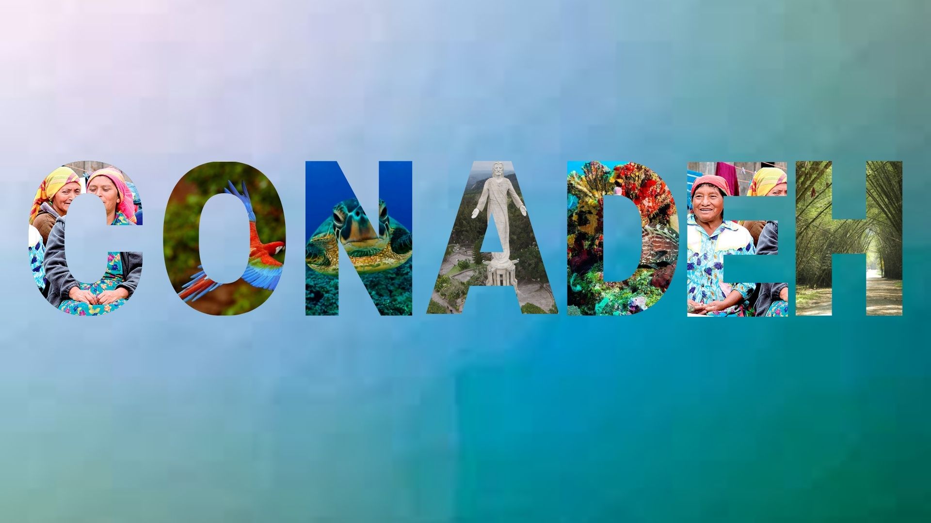 CONADEH | Tegucigalpa