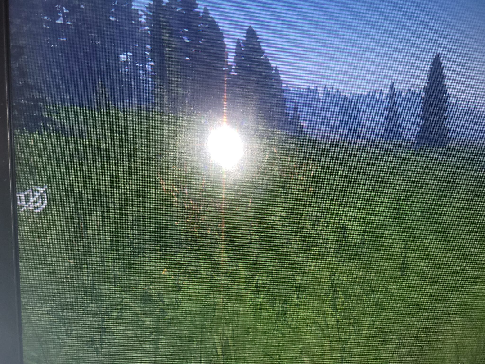 Dayz Game Audio Problems