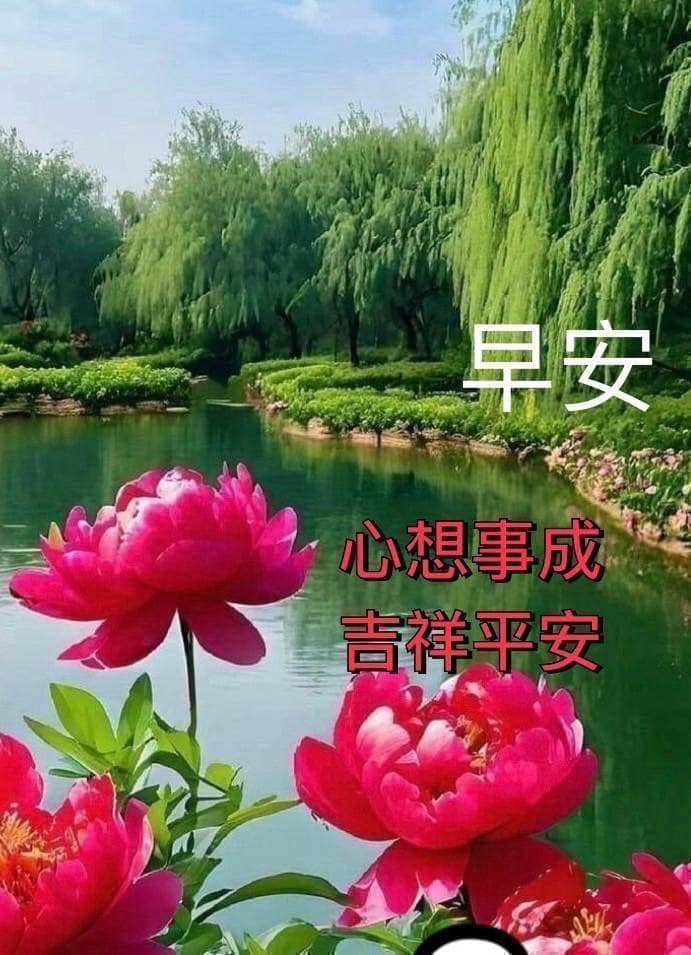 嗨～你好！早安 午安 晚安美圖分享 | 早安🌞 心想事成㊗️🙏吉祥平安🎎☘️ 12/11（週三） | Facebook