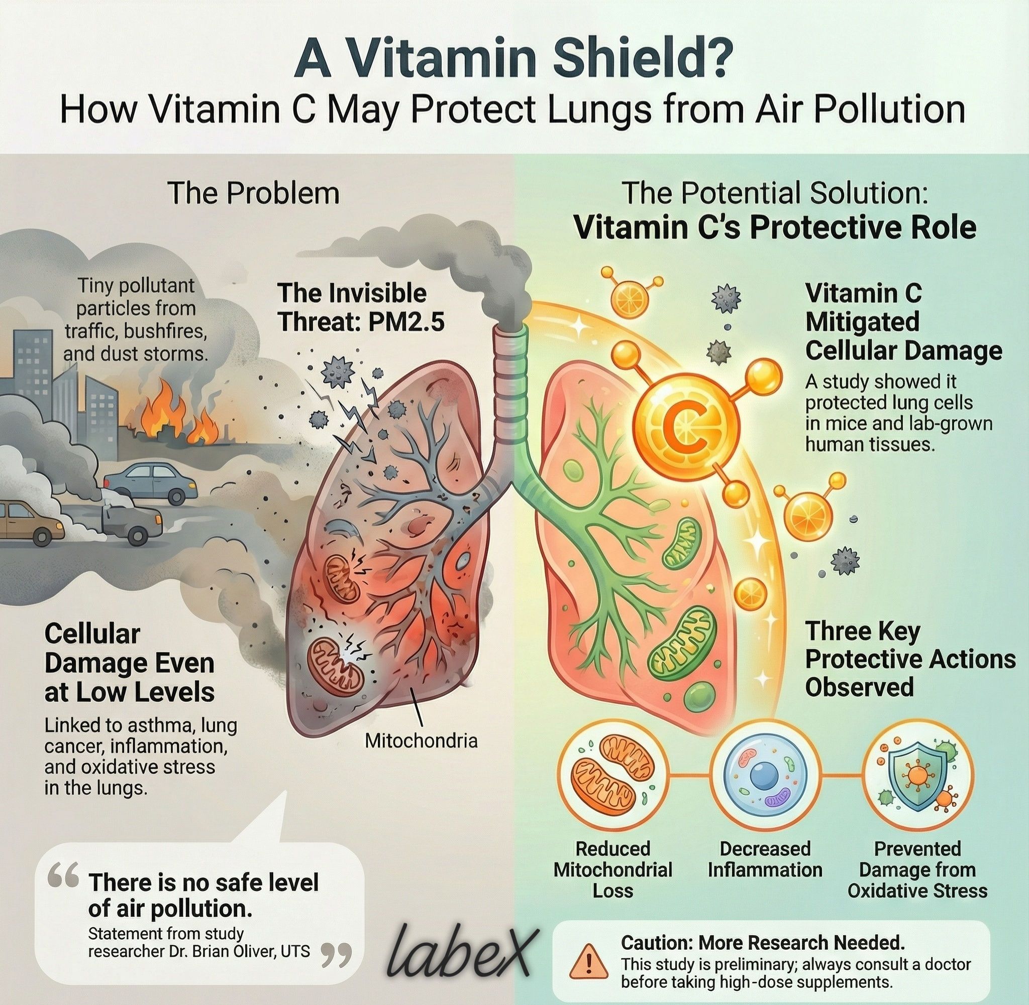 lung function repair vitamin c glutathione vitamin d smokers protects lungs from air pollution damage glow magic face wash Can Glutathione Cause Low Packaging:45 days