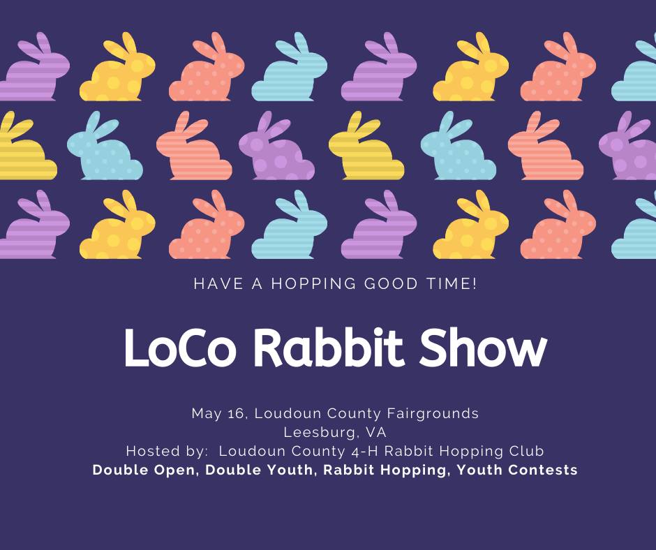 LoCo Rabbit Show