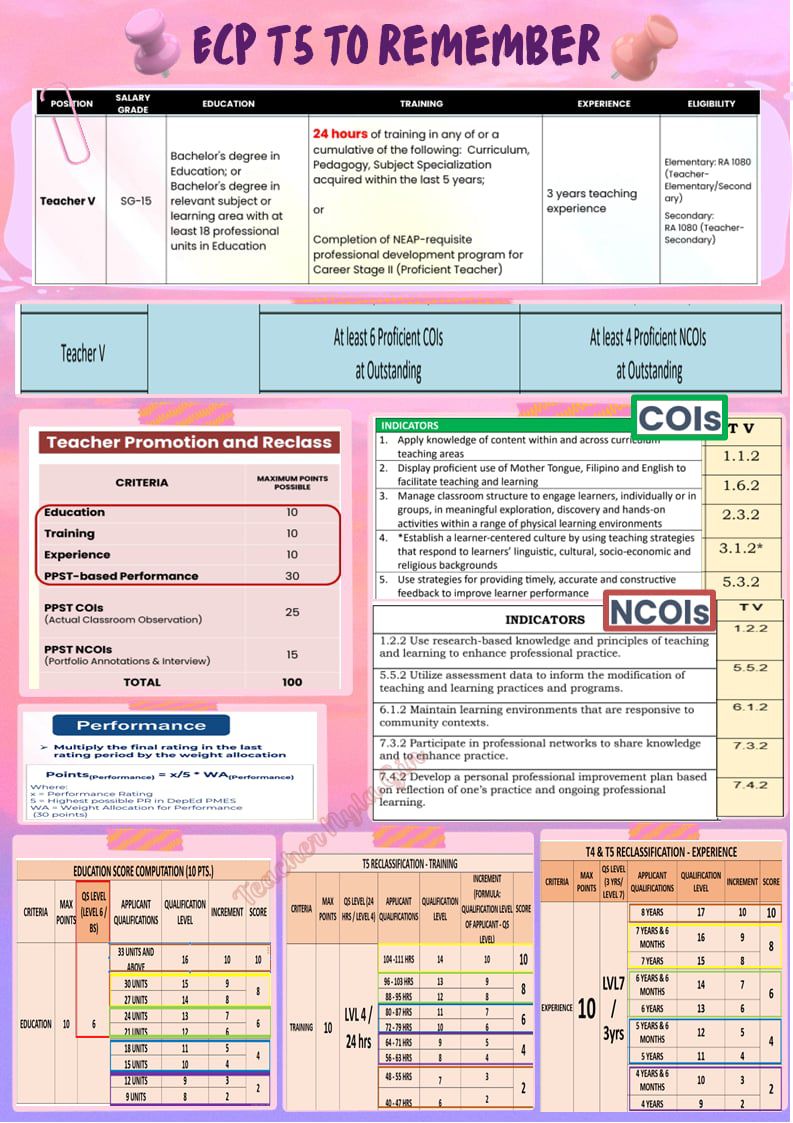 Nyla Gin - ECP Teacher 5 Consolidated Requirements: Quality Standards ...
