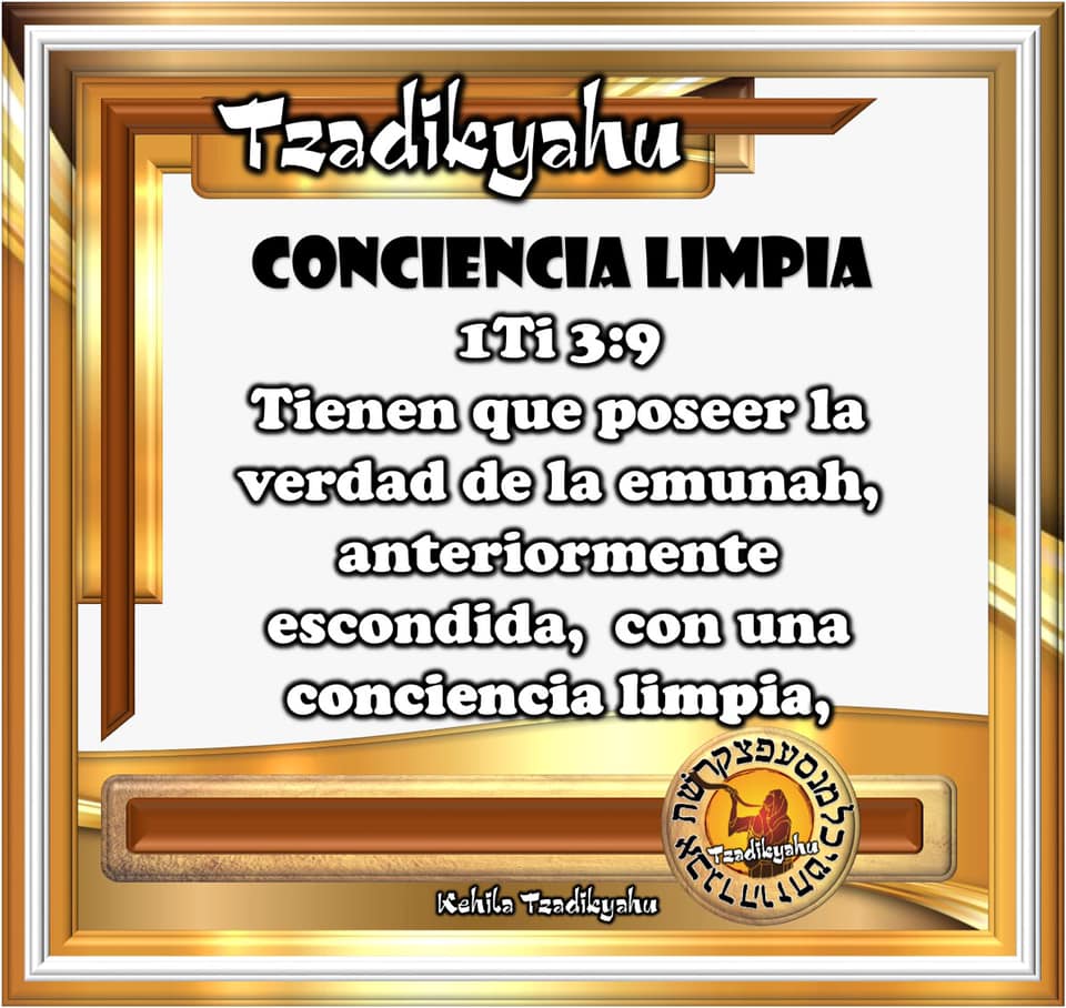 Guerrera de Espada de Fuego - *CONCIENCIA LIMPIA* Tzadikyahu 1Ti 3:9 ...