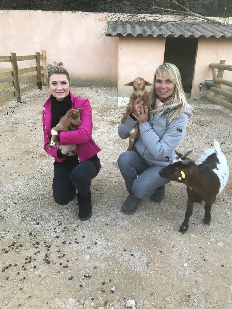 Maillot De Bain Les Animaux De La 8 Elodie Ageron