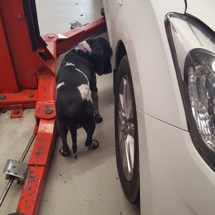 Sure Stop Automotive Centre | Nerang QLD