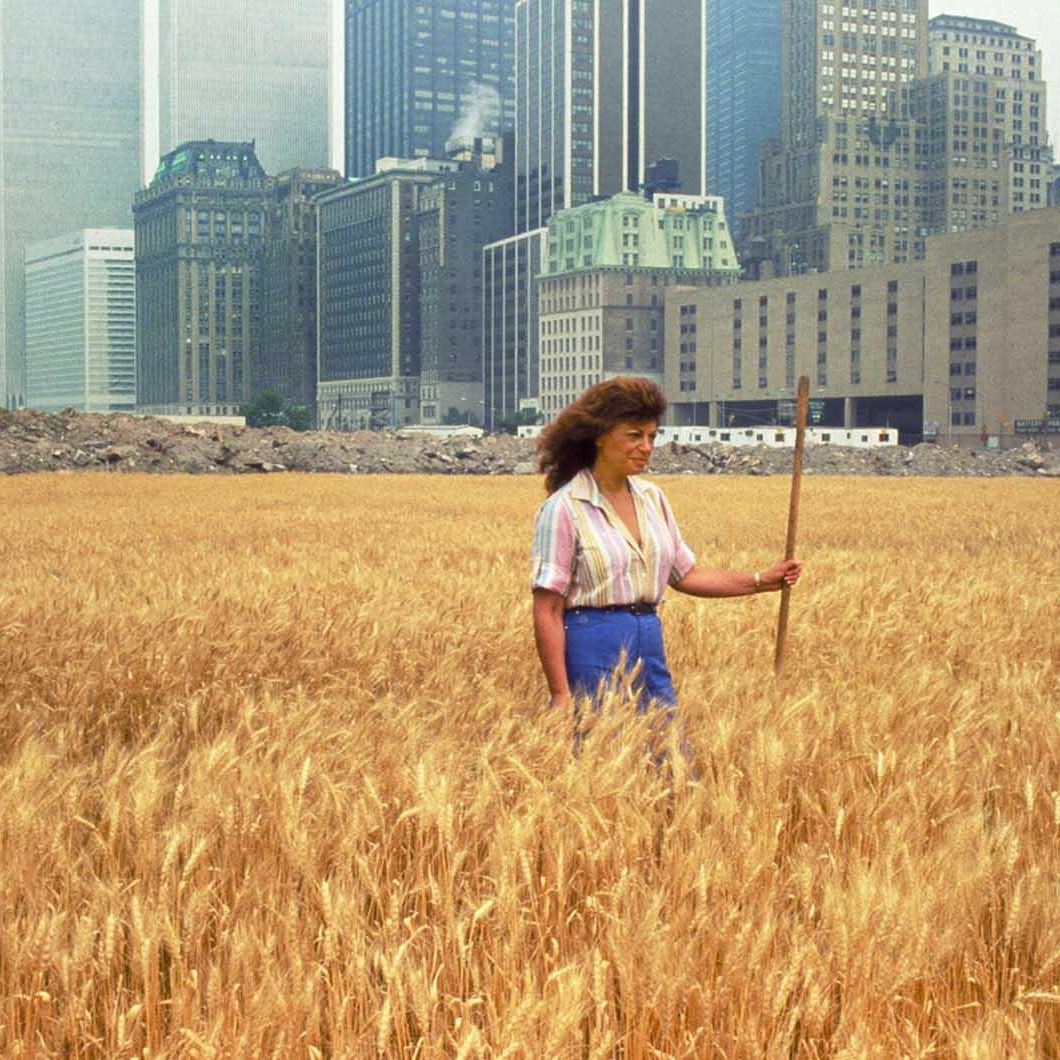 Agnes Denes' 1982 Wheatfield in New York City