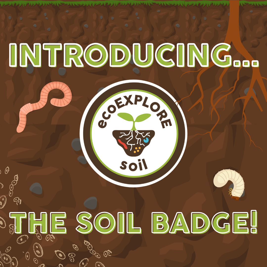 ecoEXPLORE - The Soil Badge is HERE! To earn your Soil... | Facebook