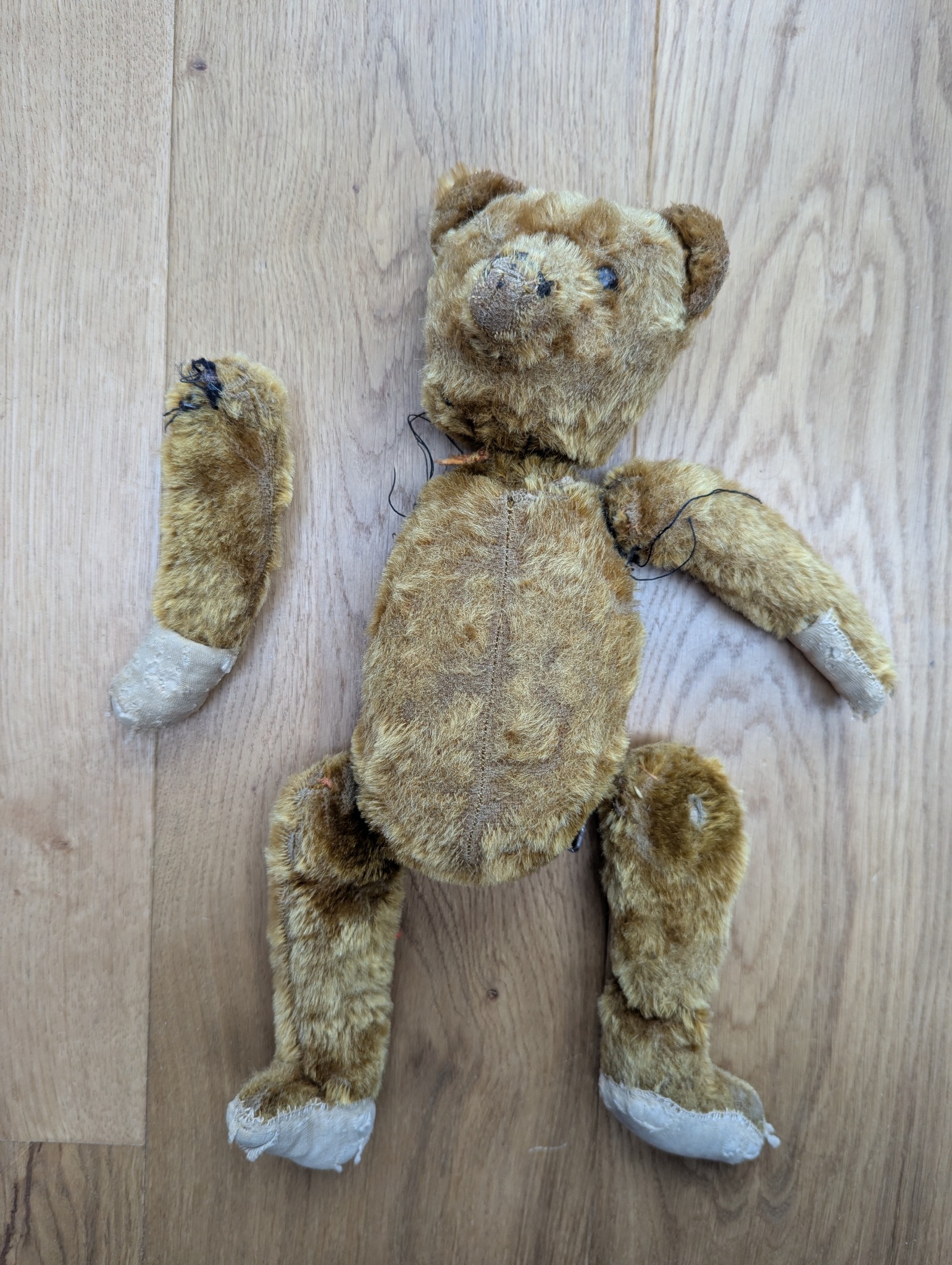 What is the origin of this 1923 vintage teddy bear?