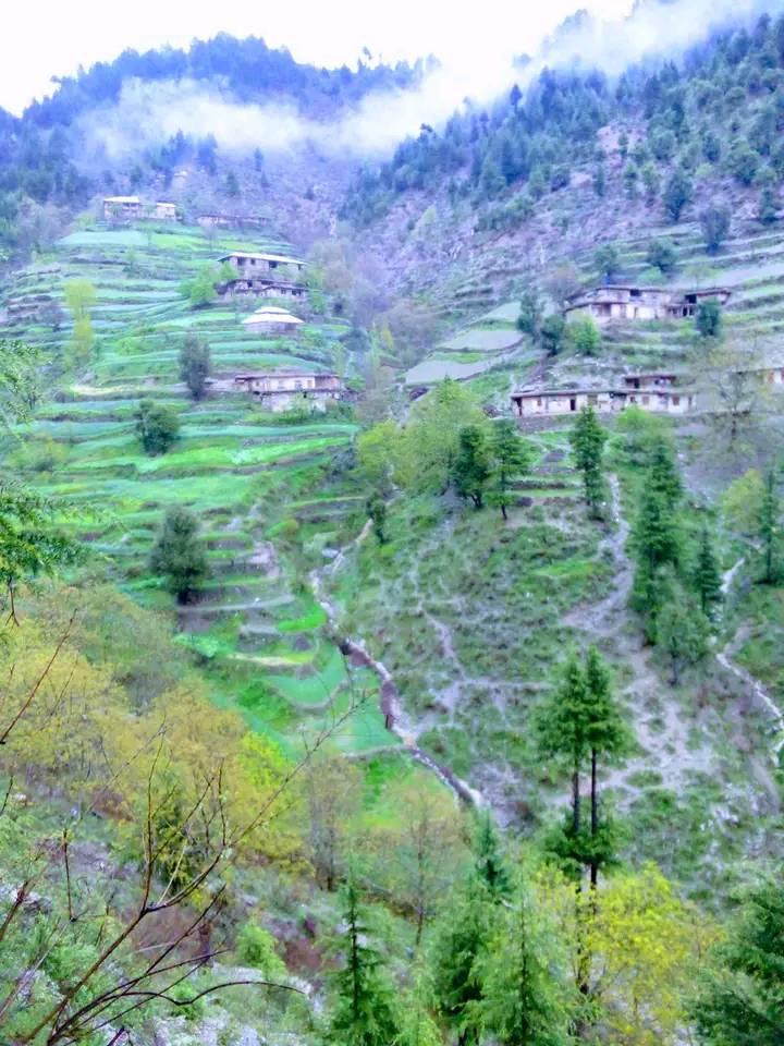 گران خوڑ | Turlandi