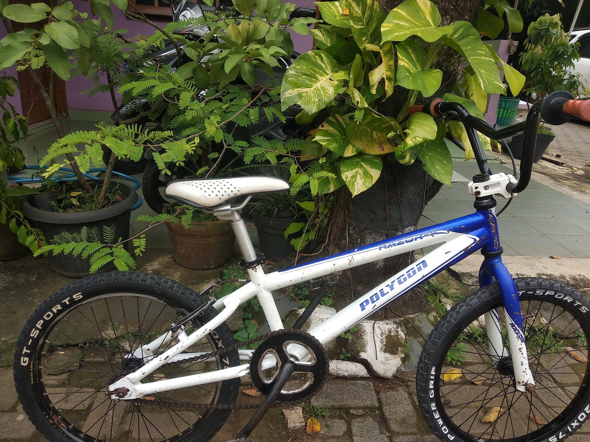 Lapak Sepeda Jepara | Dijual sepeda bmx polygon razor 2.0 absorb ...