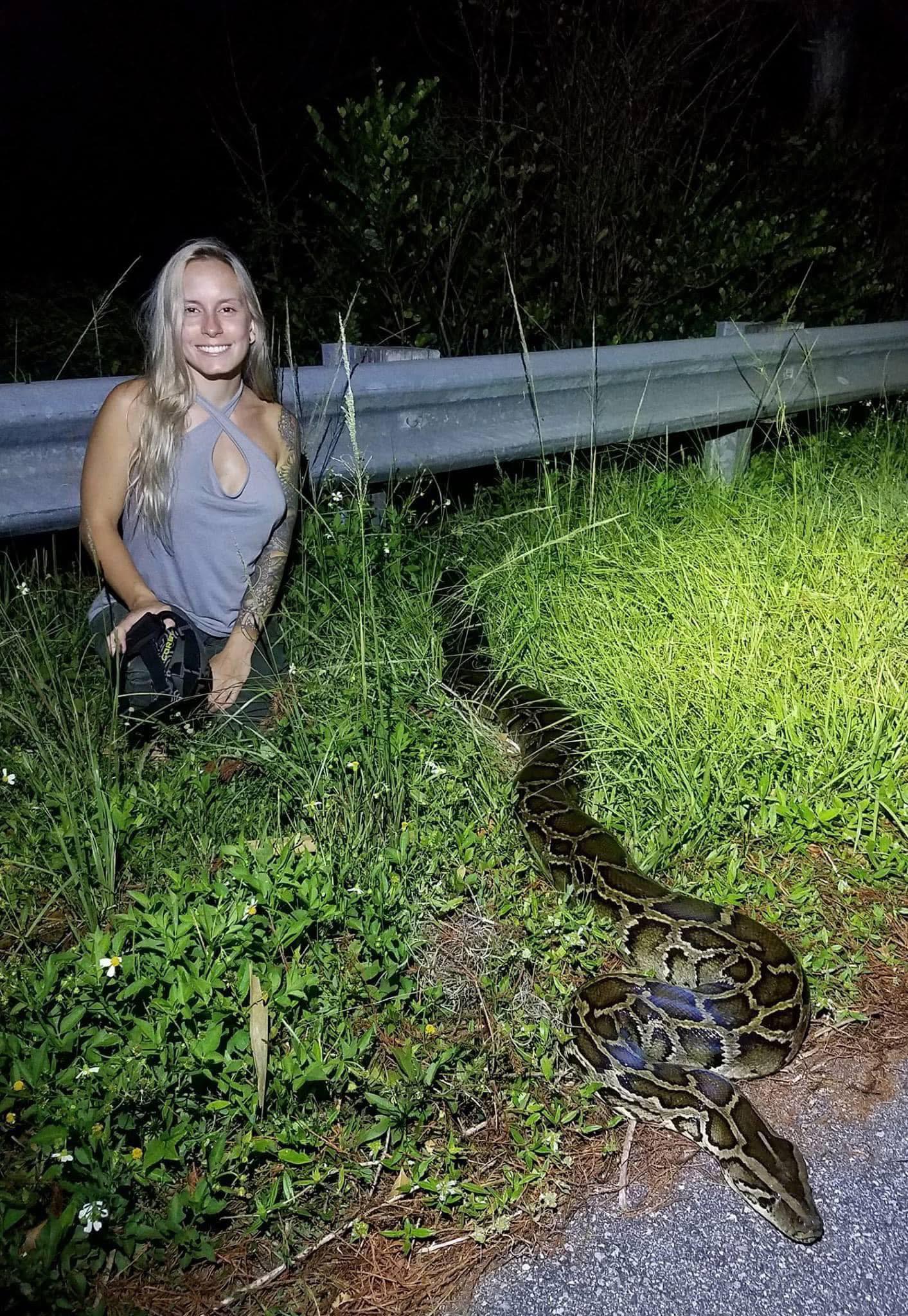 A good sized Invasive Burmese Python... - Taylor Stanberry | Facebook