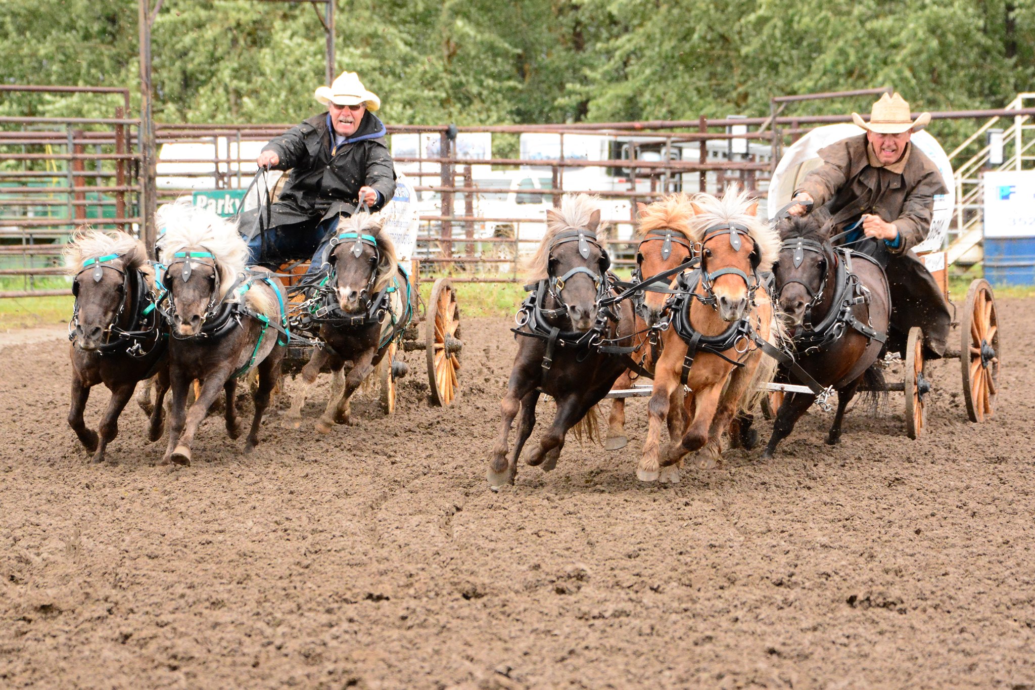 Rawhide Rodeo