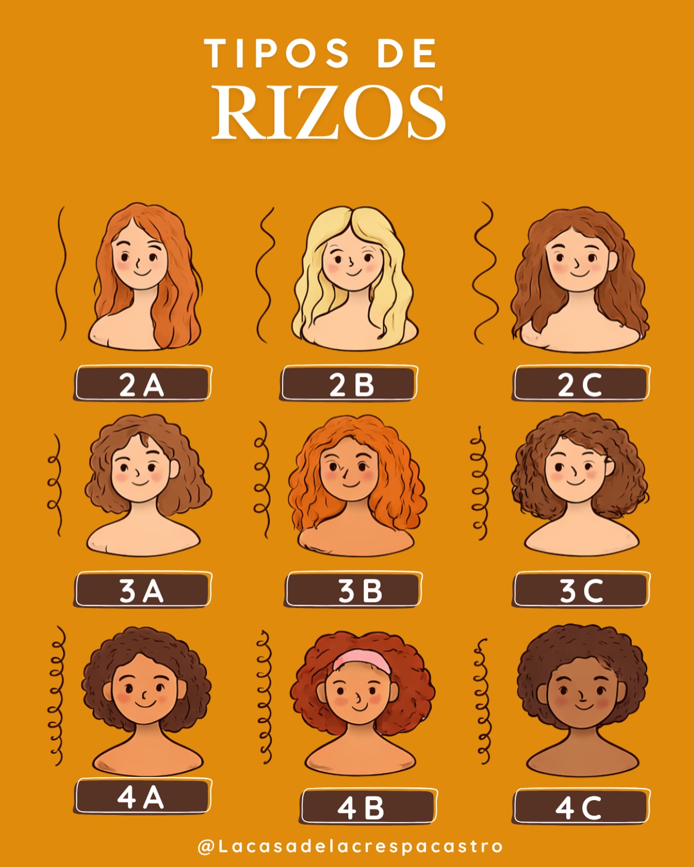 Carolina - 🌀 Cada rizo tiene su forma y su personalidad. ¿Ya sabes qué ...