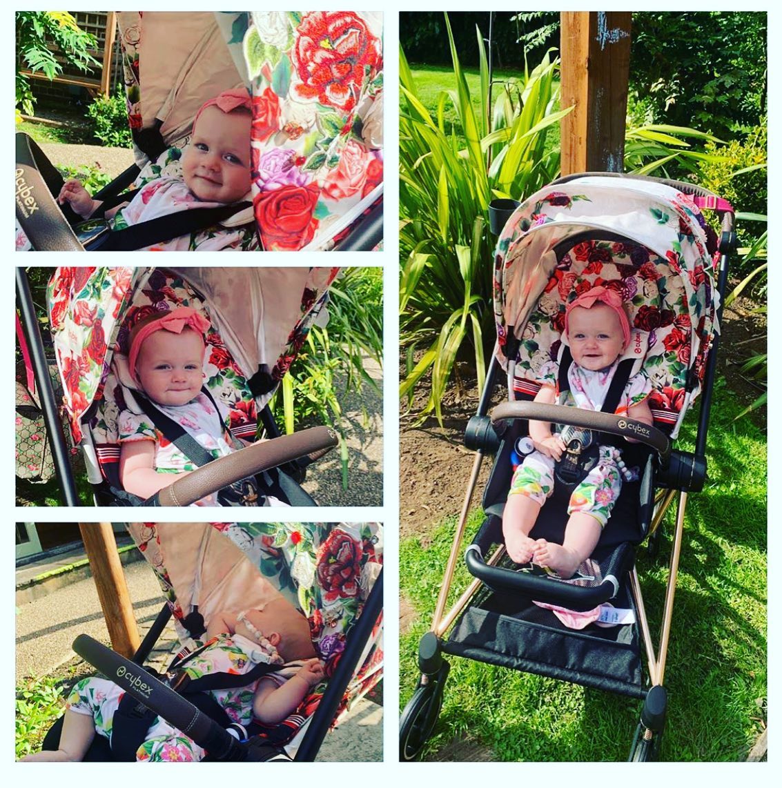 maxi cosi swing reddit Maxi-Cosi Cassia Smart Baby for Infants, Portable, Foldable Infant Swing with Music, 360 Rotation, 5 Speeds, 12 Melodies, EcoCare Fabric, Auto Motion Sensor, 2 Reclines, Classic Graphite : Pet Supplies Icons Color:Grey Waxed Canvas Minor Procedures: Fishhook Removal For babies up to
