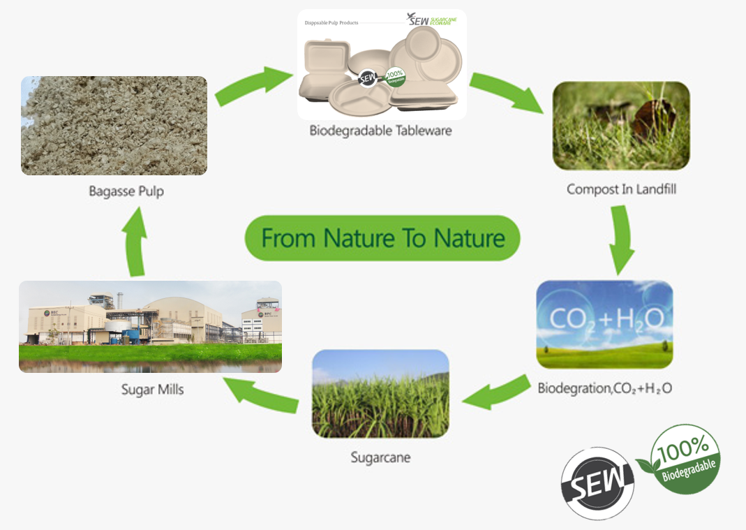 Sew-ซีล - 🍃What is Bio-degradation or Biodegradable?🍀 SEW Ecoware - 100 ...