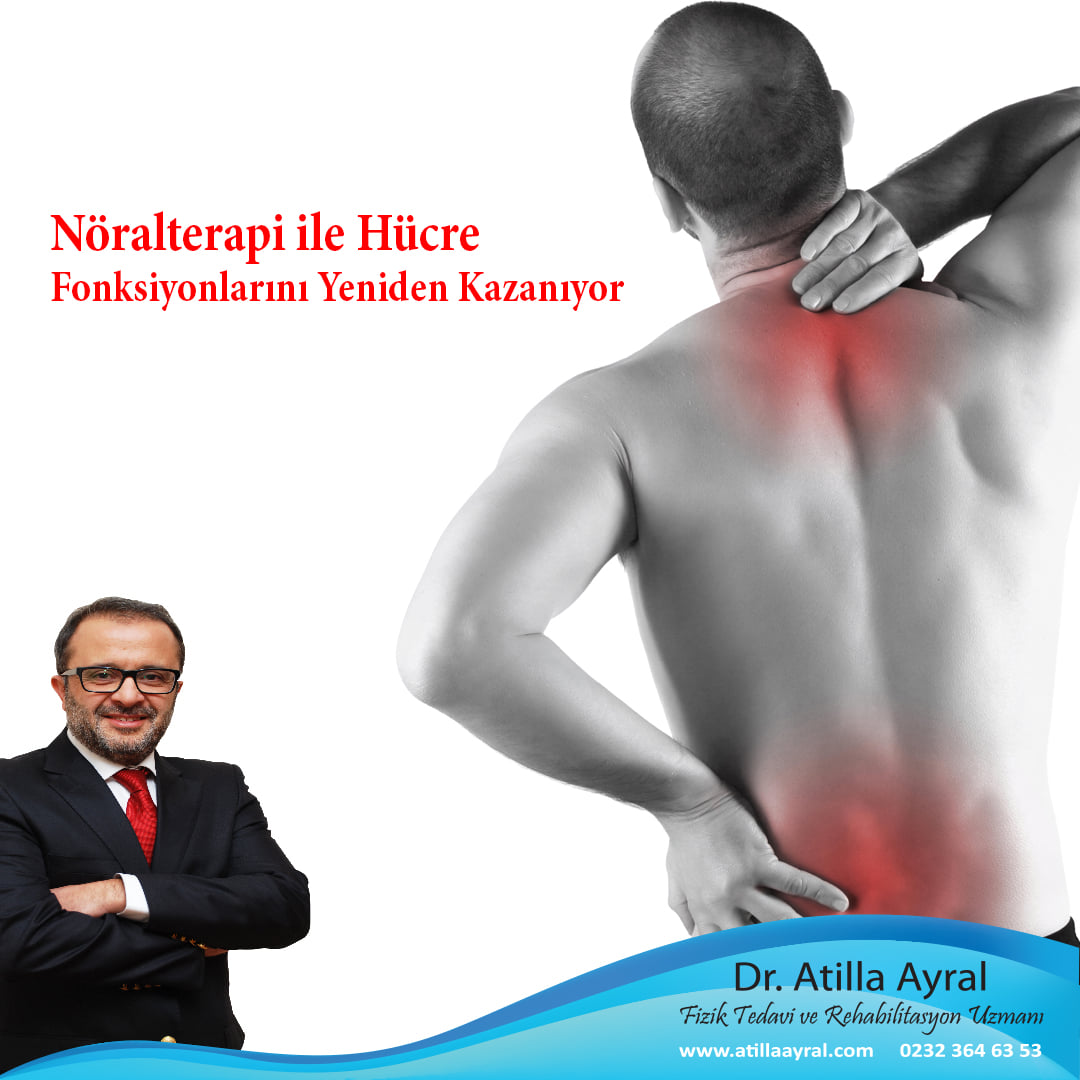 dr-atilla-ayral-n-ralterapi-nedir-n-ralterapi-v-cutta-a-r-l