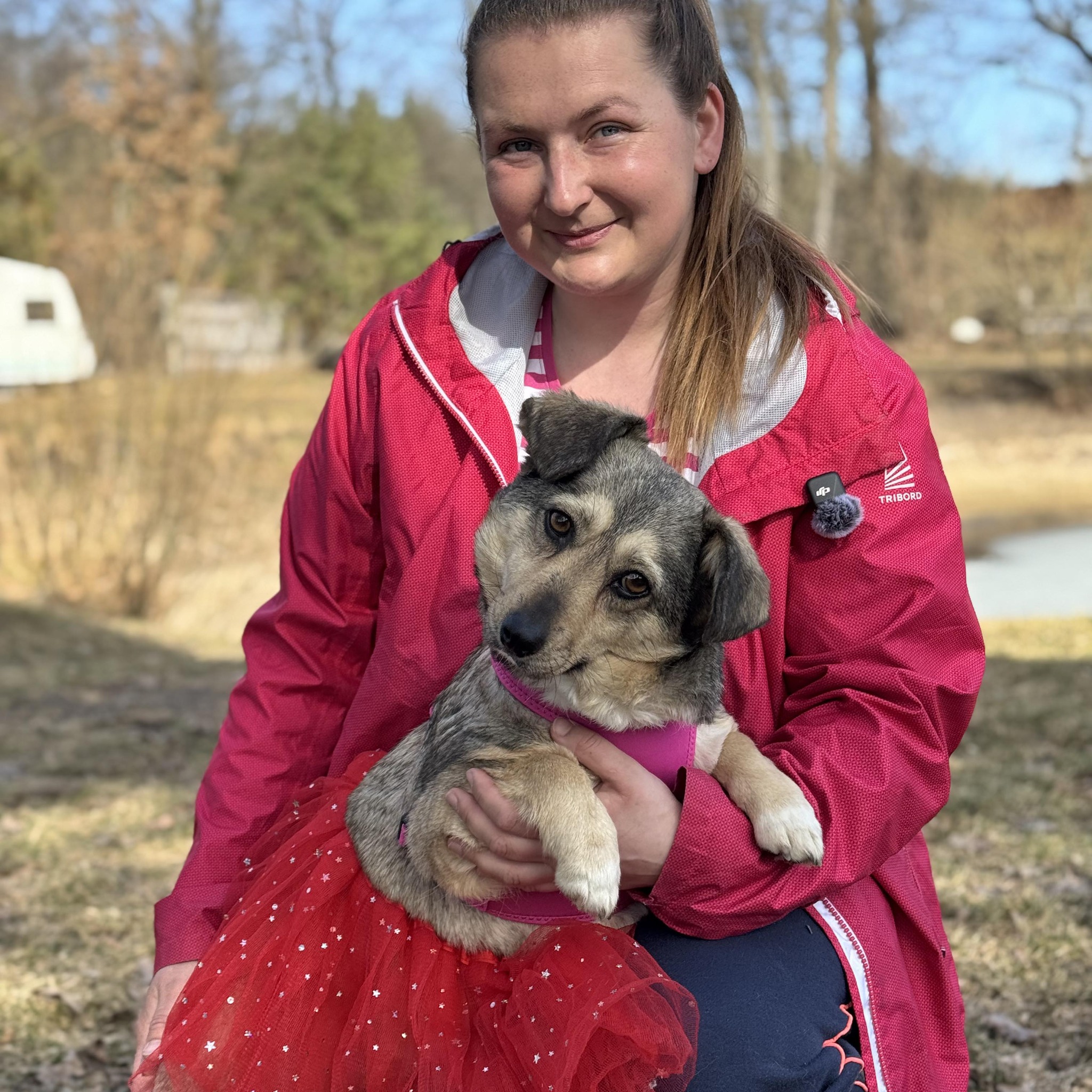 Anna Romanenko - Кола — чарівна лабрадорка, їй приблизно... | Facebook