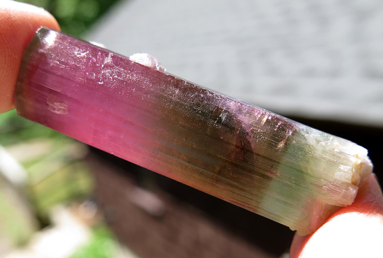 5 color DT Elbaite with Albite from... - Golden Hour Minerals