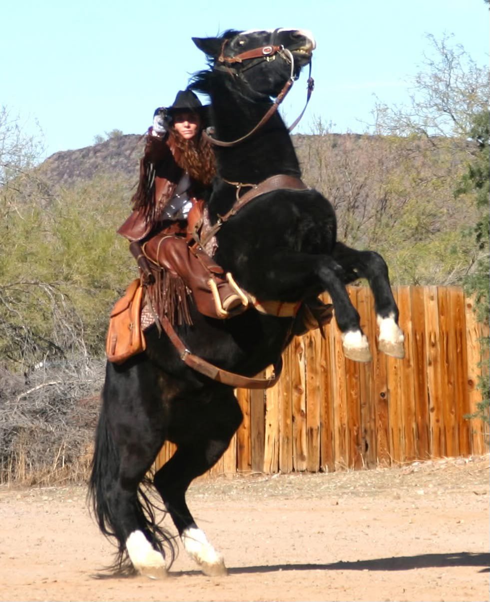 Why am I so hard on myself... Bobbi Jeen Olson Western Trading Post ...