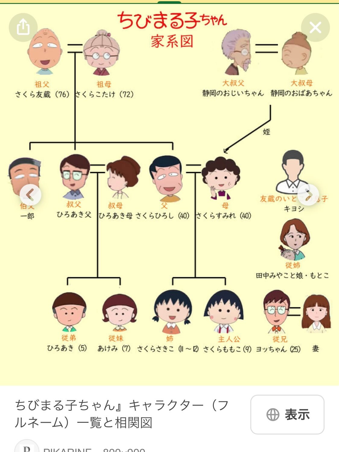 ちび まる子 ちゃん 家 系図