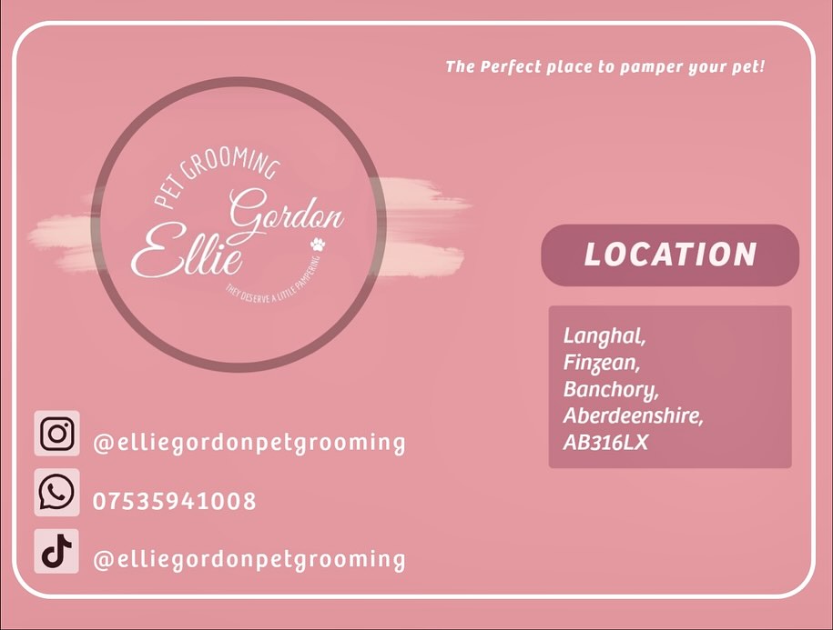 Ellie Gordon - 🌟OPENING DECEMBER 🌟 🐾Booking system... | Facebook
