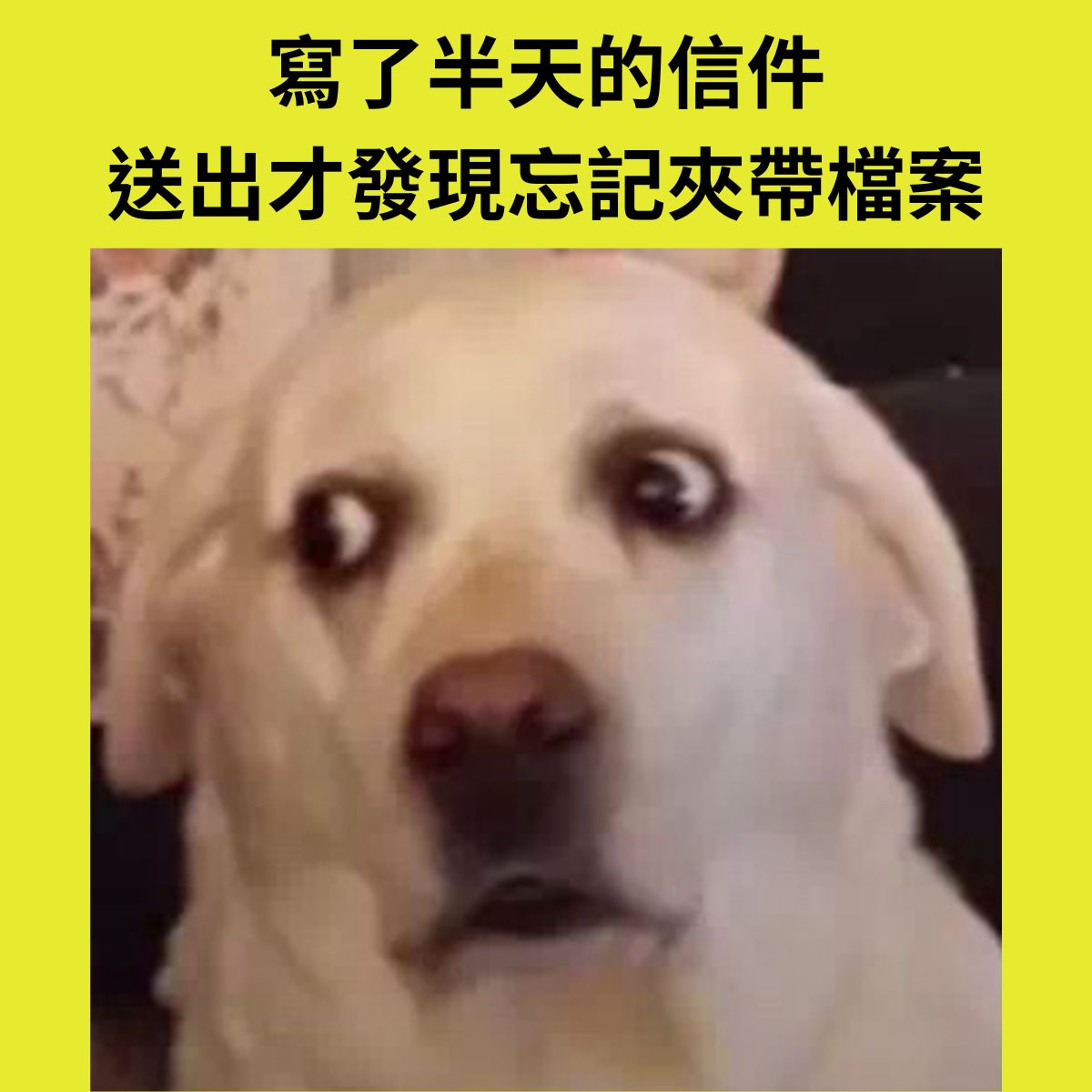 再寄一封，「為表慎重，檔案將親送給您 ️」 #memes #meme #笑... - 微崩潰受薪人 - 兔Morrow