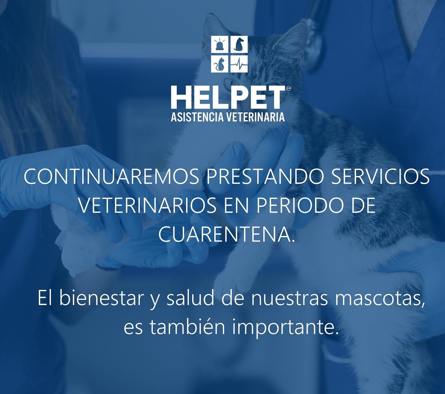 👨🏻‍⚕️Buen día. No está demás... - Helpet Hospital Veterinario
