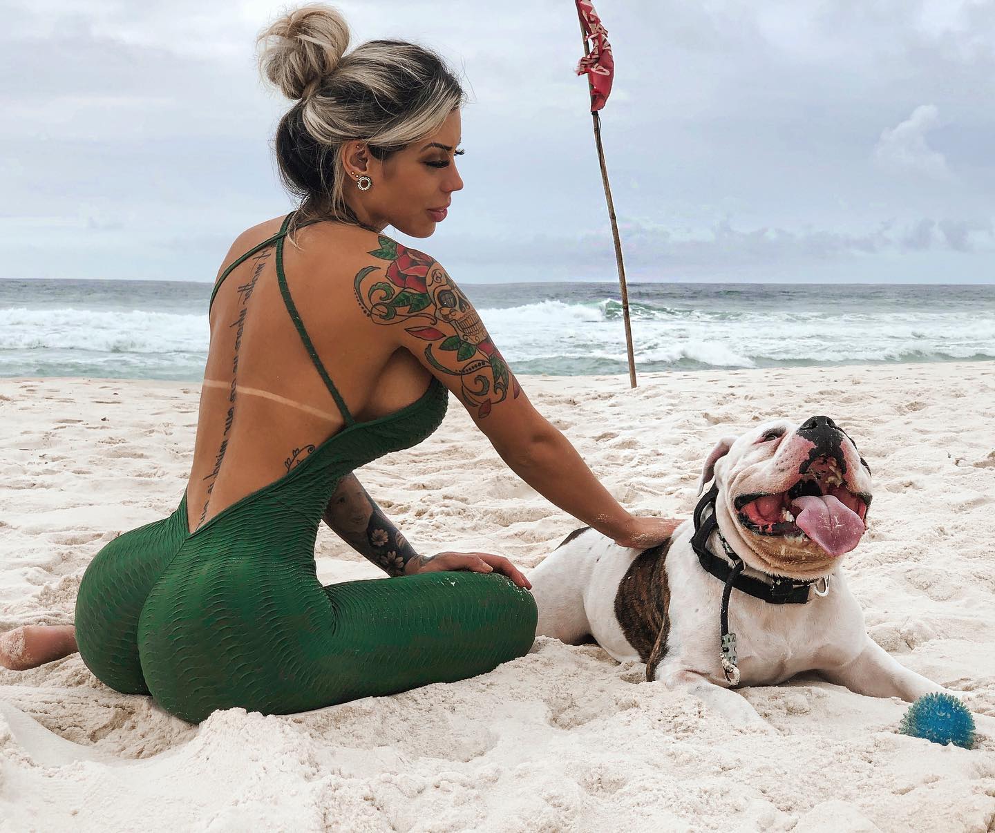 Letícia Alonso My baby bully 🐾🖤 Facebook