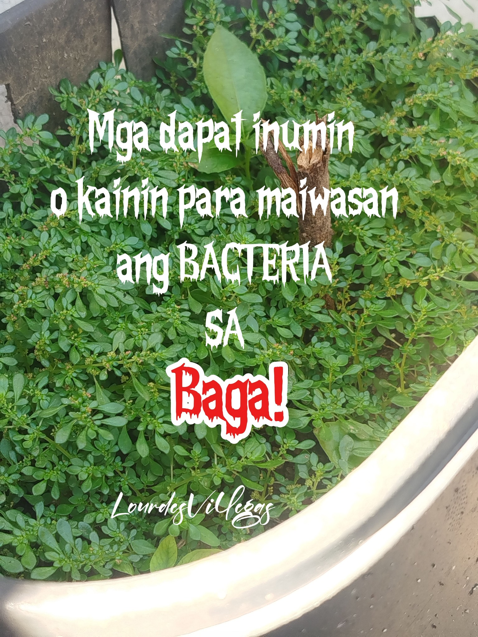 Mga dapat kainin o inumin para... - Lourdes Cuenca Villegas | Facebook