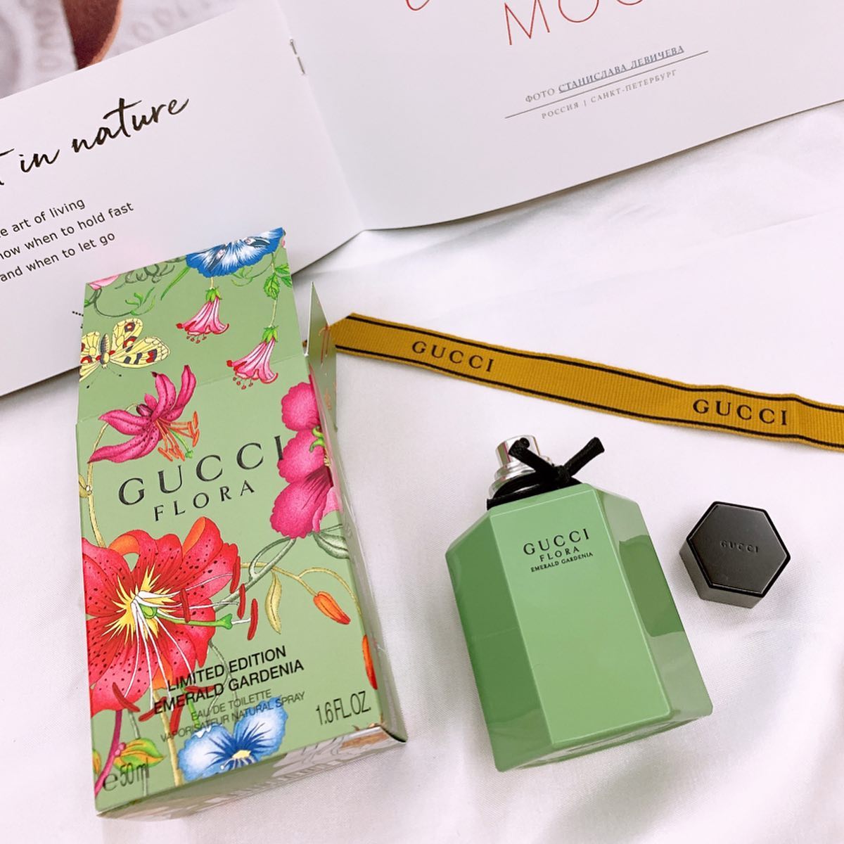 dream-daily-gucci