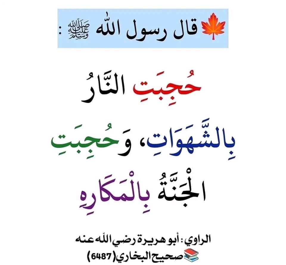نــزا - مەرجەکانی باڵاپۆشی 
