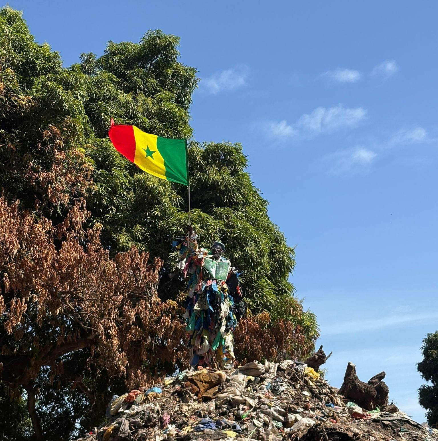 Modou Fall