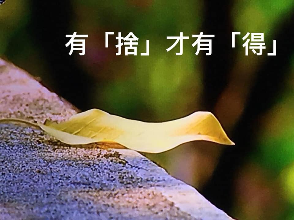 靜思語 - 【有「捨」才有「得」】 人若能將知識轉為智慧， 自然會捨去計較心，無所求地付出。...