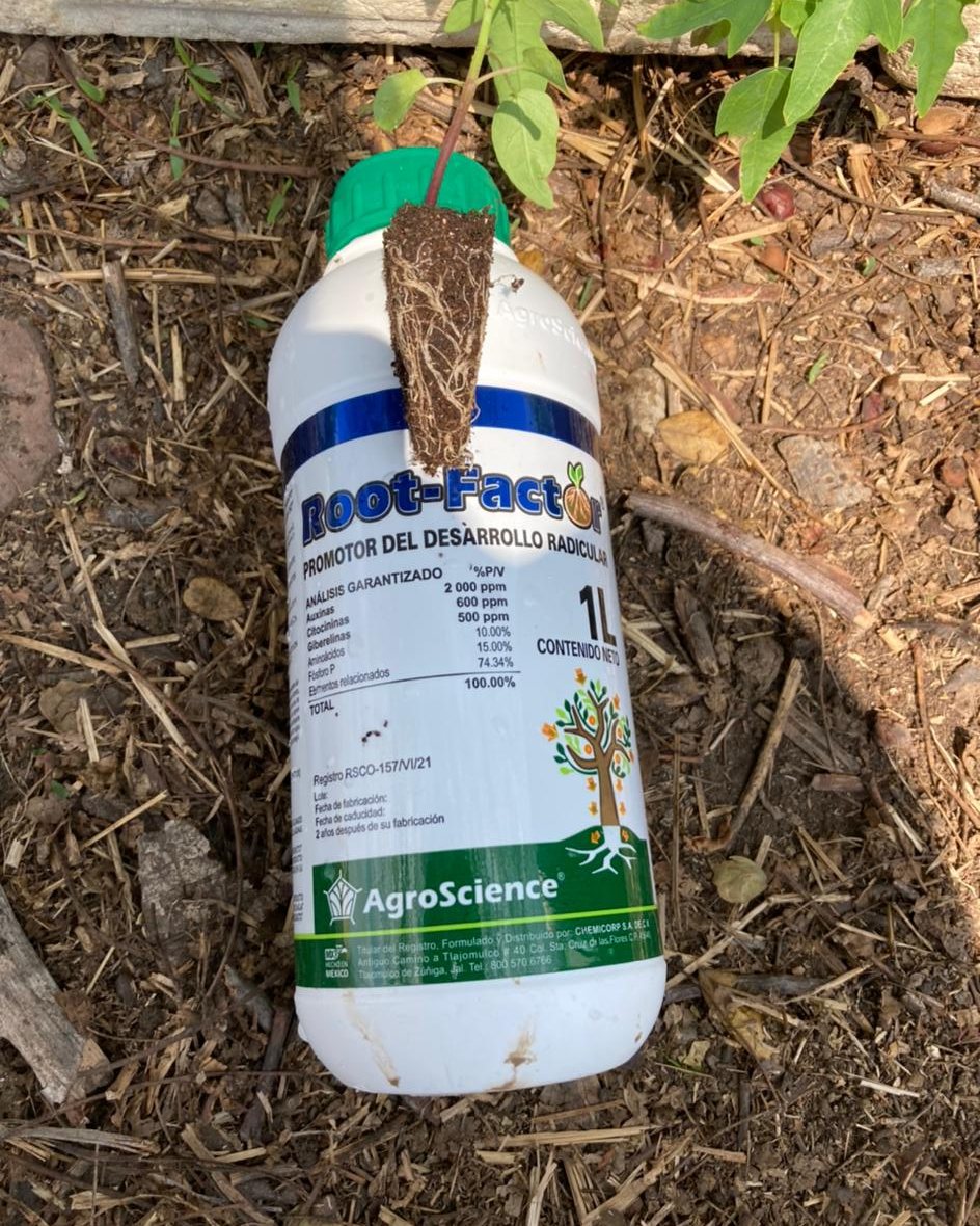 AgroScience - 